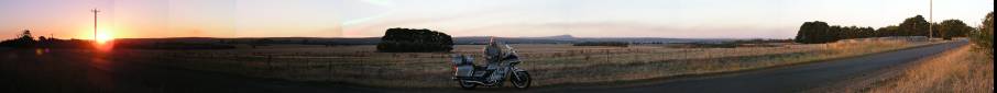 Goldwing
