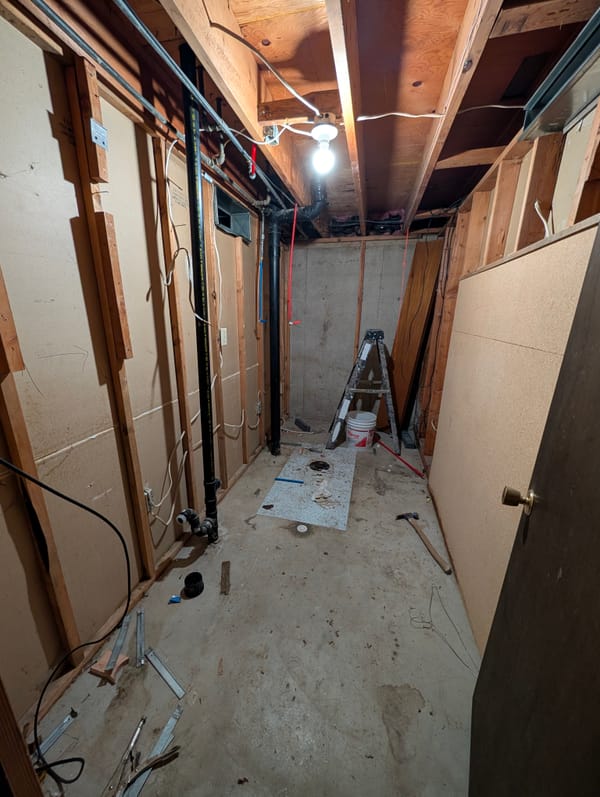 Basement Bathroom Reno