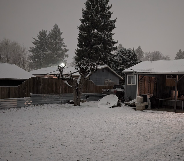 Finally Snowed